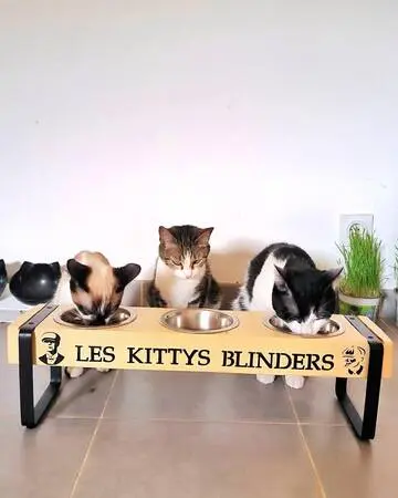 Gamelle orthopédique - custom_7 Gamelle orthopédique - custom_7